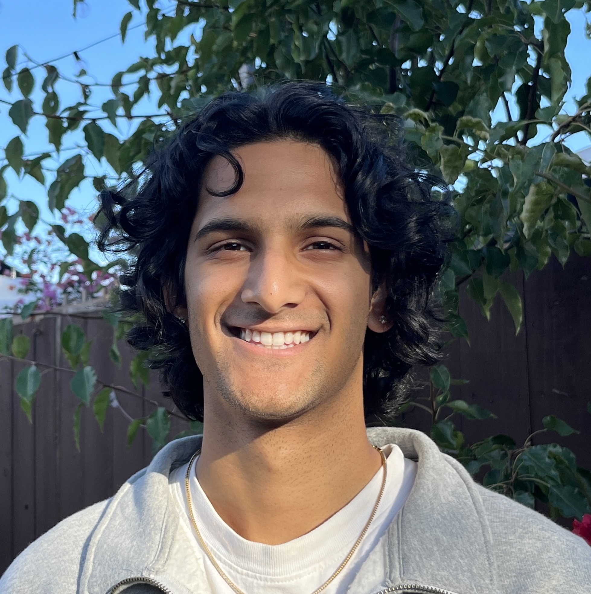 Arav Agarwal